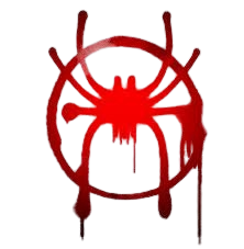 Spider Logo